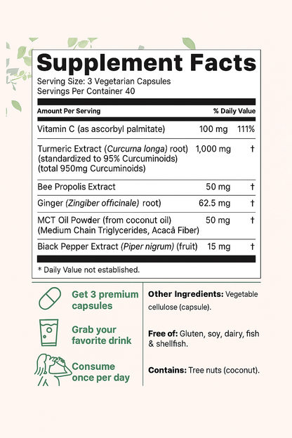Micro Ingredients Turmeric Curcumin 1,000mg